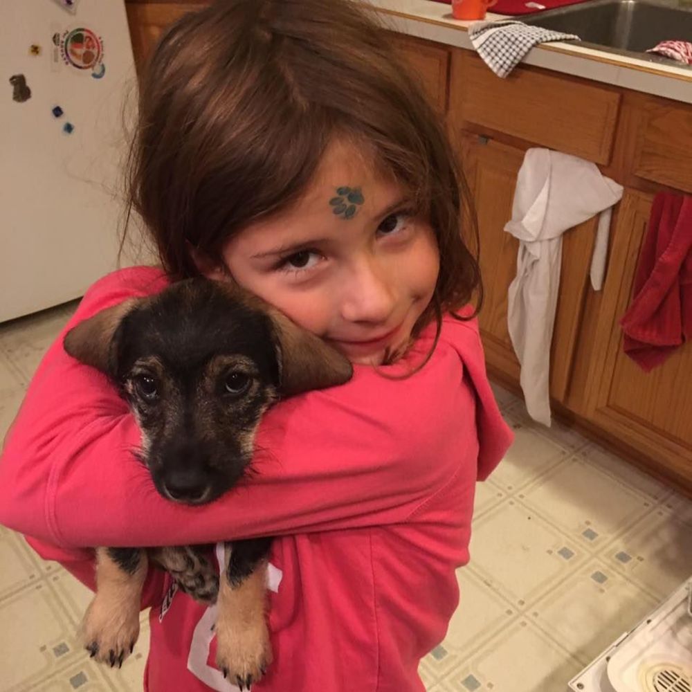 Meet your Posher, Nikki